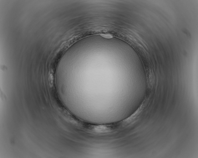 X0000090610183200708071211