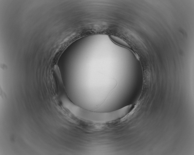 X0000090610184200708071211