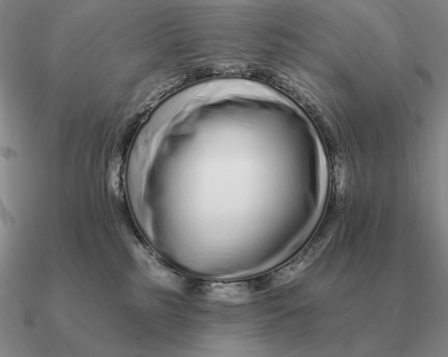 X0000090610185200708071211