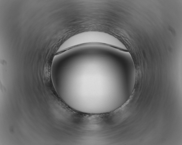 X0000090610186200708071211