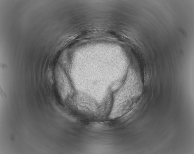 X0000090610187200708071211