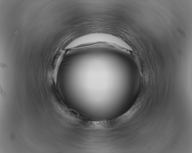 X0000090610188200708071211