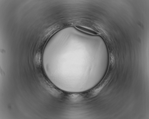 X0000090610189200708071211