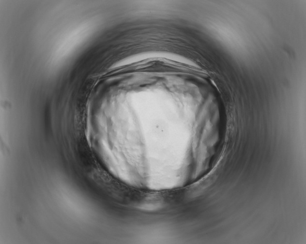 X0000090610191200708071211