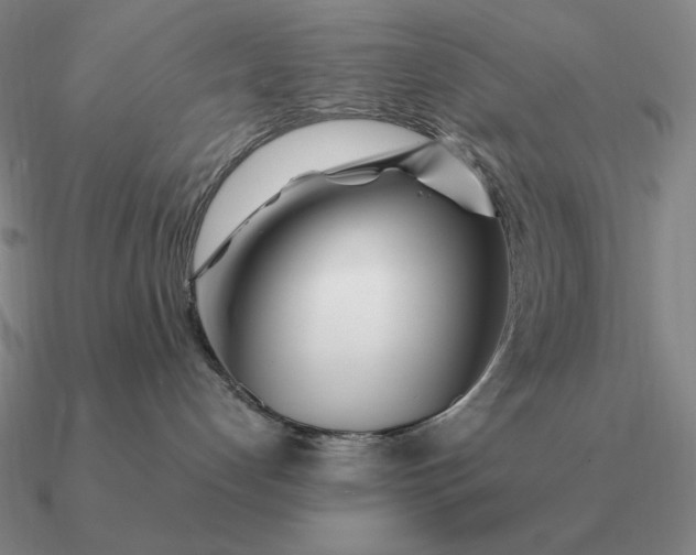 X0000090610192200708071211