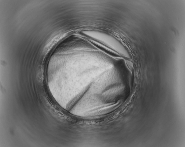 X0000090610194200708071210