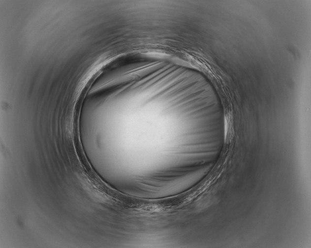 X0000090610195200708071210