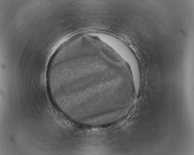 X0000090610196200708071210