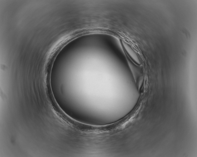 X0000090610197200708071210