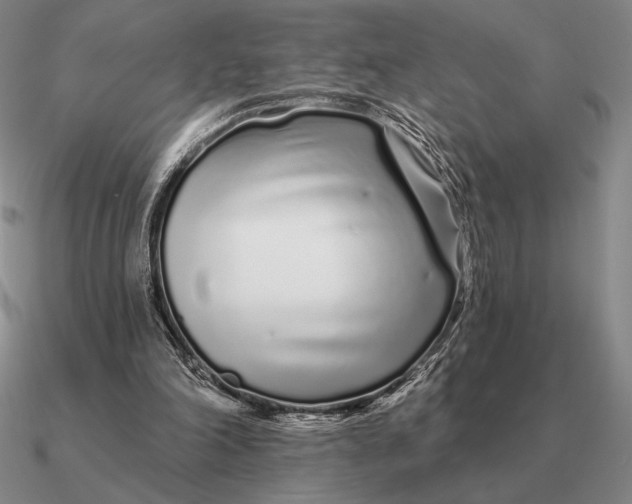 X0000090610198200708071210