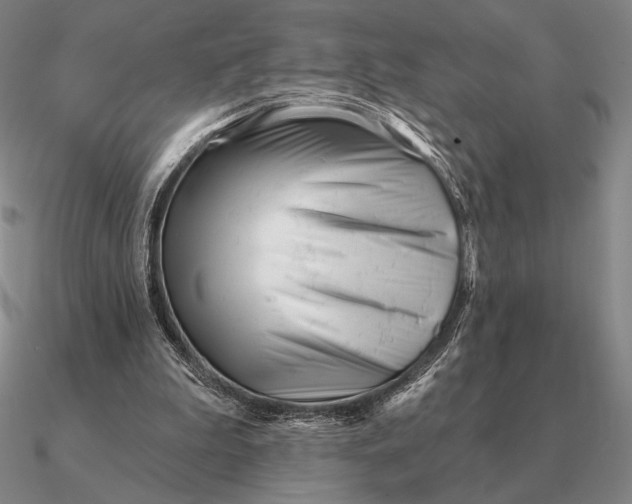 X0000090610199200708071210