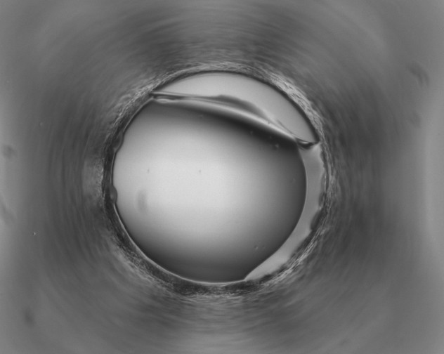 X0000090610201200708071210