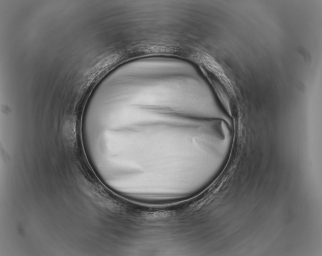 X0000090610202200708071210