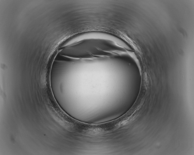 X0000090610203200708071210