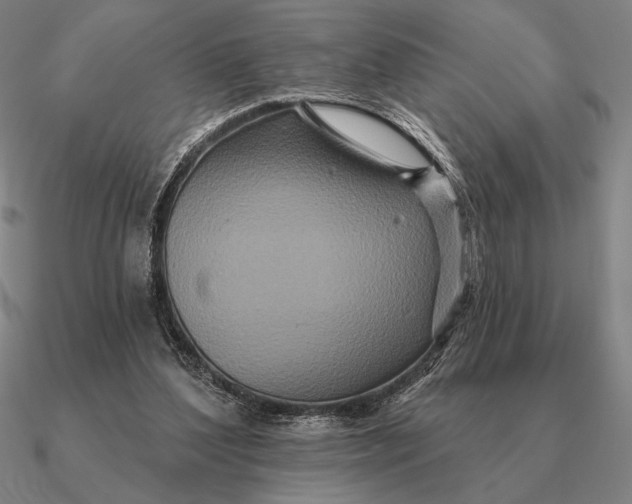 X0000090610204200708071210