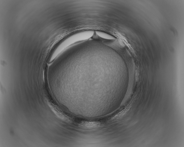 X0000090610205200708071210