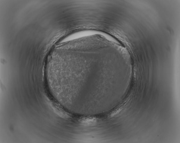 X0000090610206200708071210