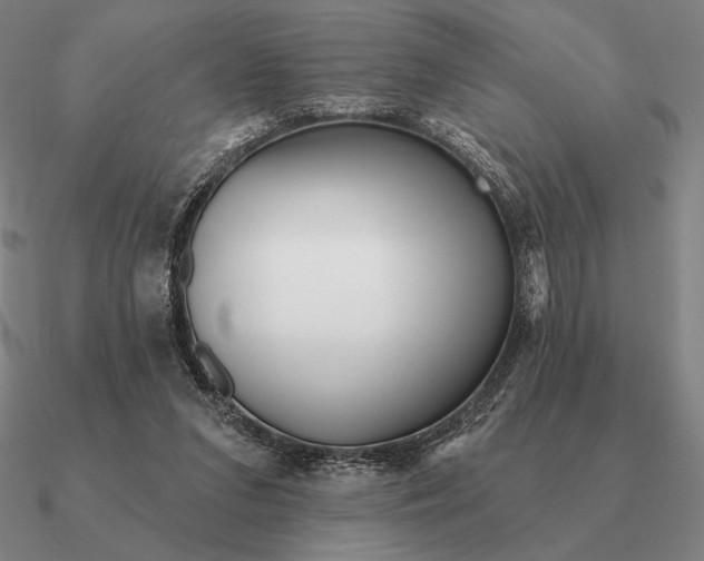 X0000090610207200708071210