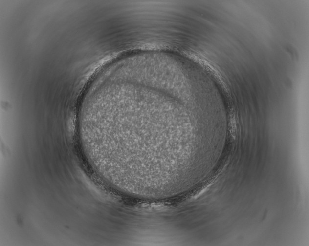 X0000090610208200708071210