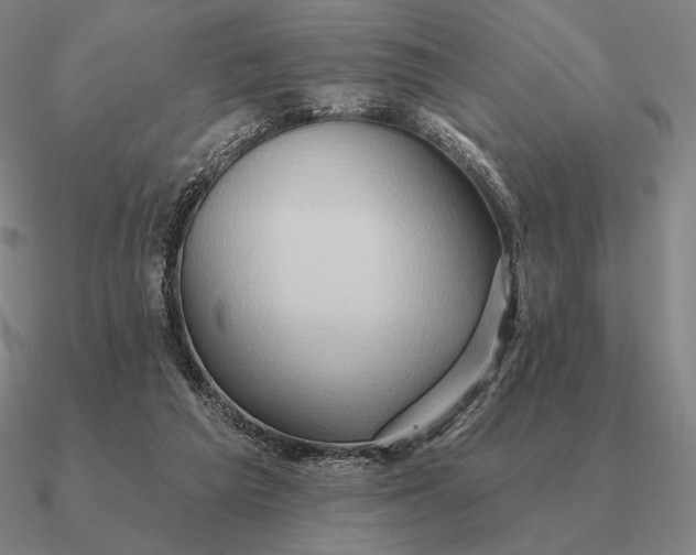 X0000090610209200708071210