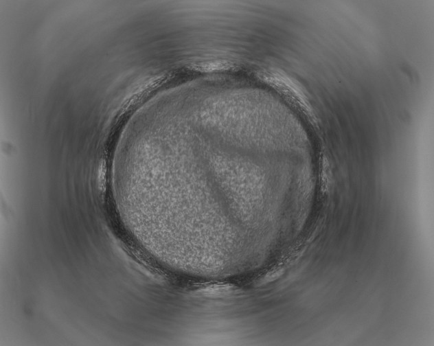 X0000090610210200708071210