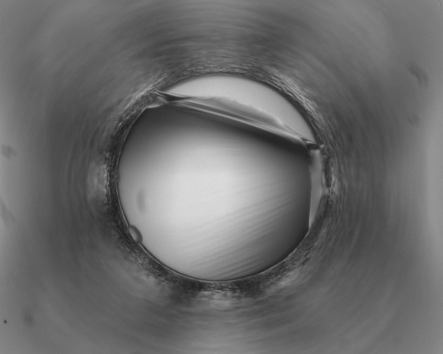 X0000090610211200708071210