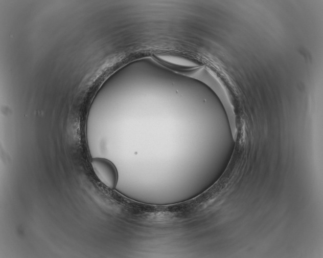 X0000090610212200708071210