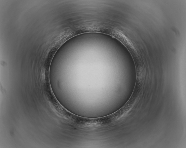 X0000090610213200708071210