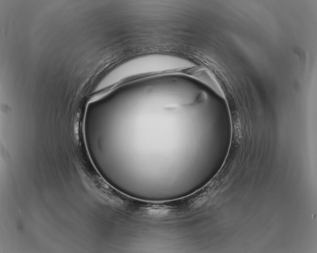 X0000090610214200708071210