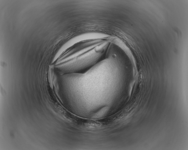 X0000090610215200708071210