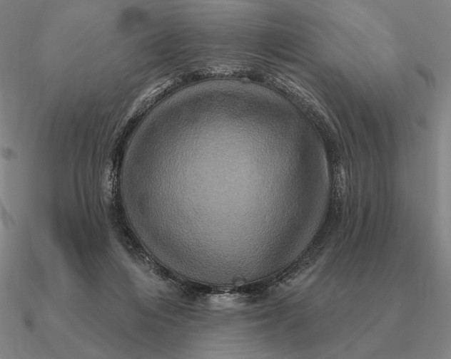 X0000090610216200708071210