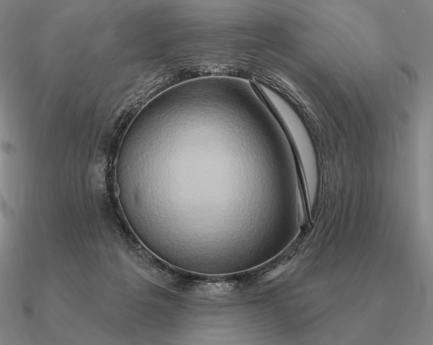 X0000090610217200708071210