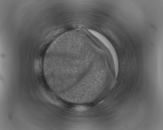 X0000090610218200708071210