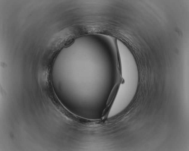 X0000090610219200708071210