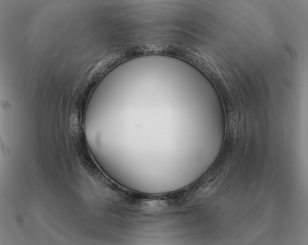 X0000090610220200708071210