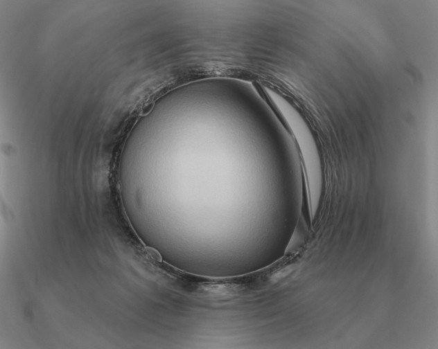 X0000090610221200708071210