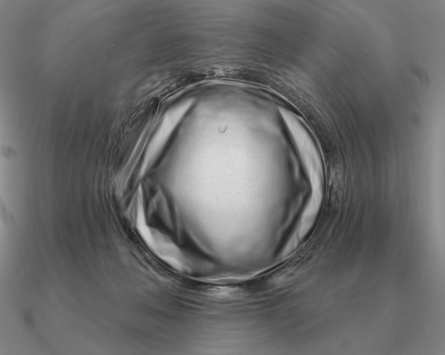 X0000090610222200708071210