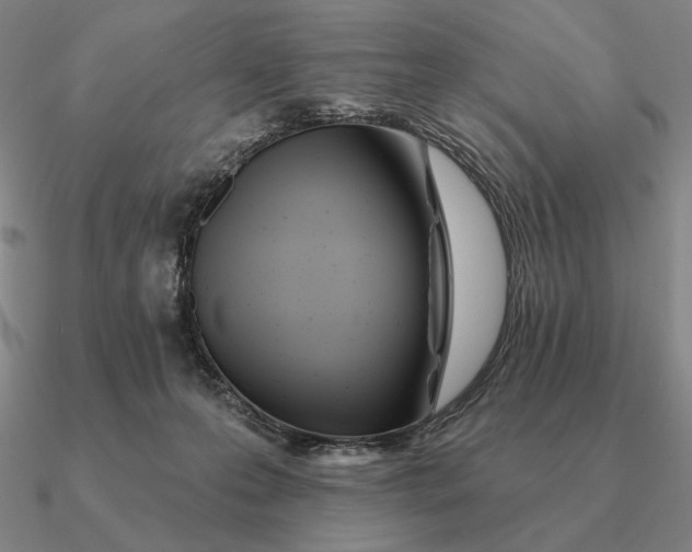 X0000090610223200708071210