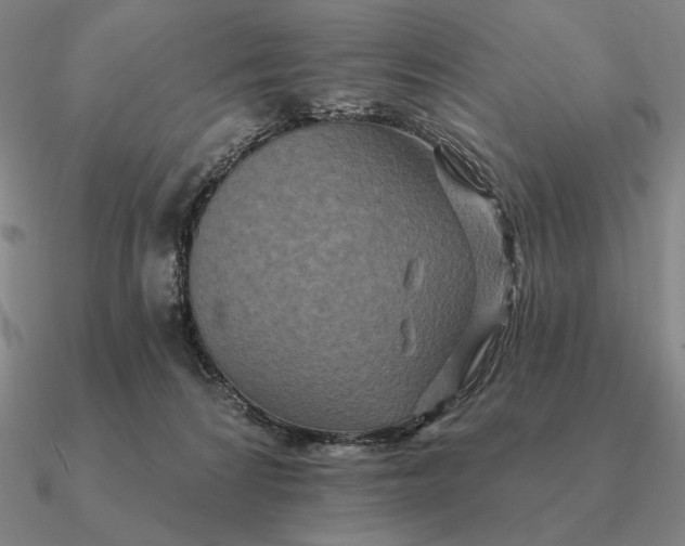 X0000090610224200708071210