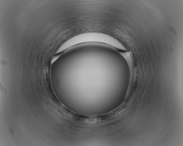 X0000090610225200708071210