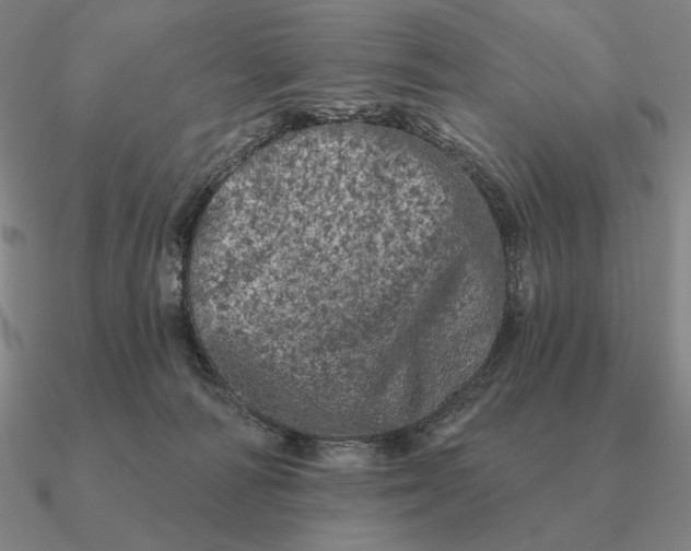 X0000090610226200708071210