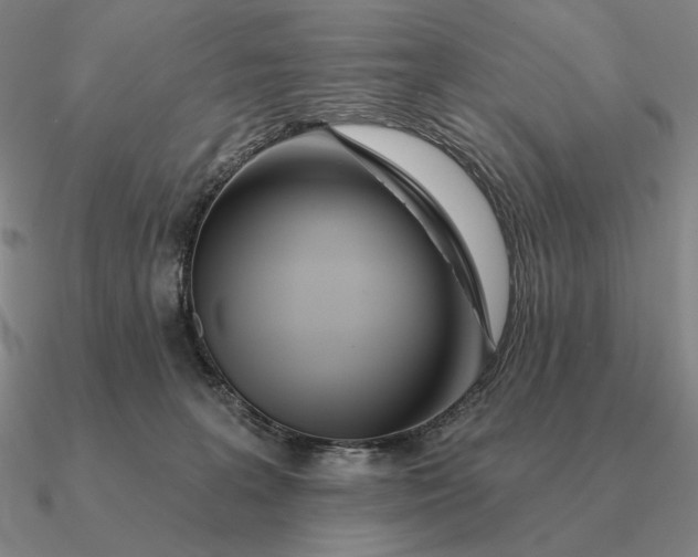 X0000090610227200708071210