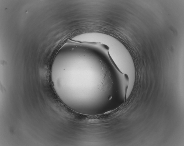 X0000090610228200708071210