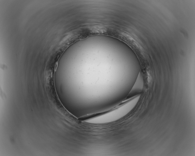 X0000090610229200708071210