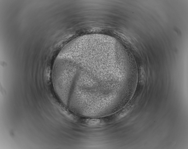 X0000090610230200708071210