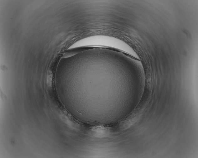 X0000090610231200708071210