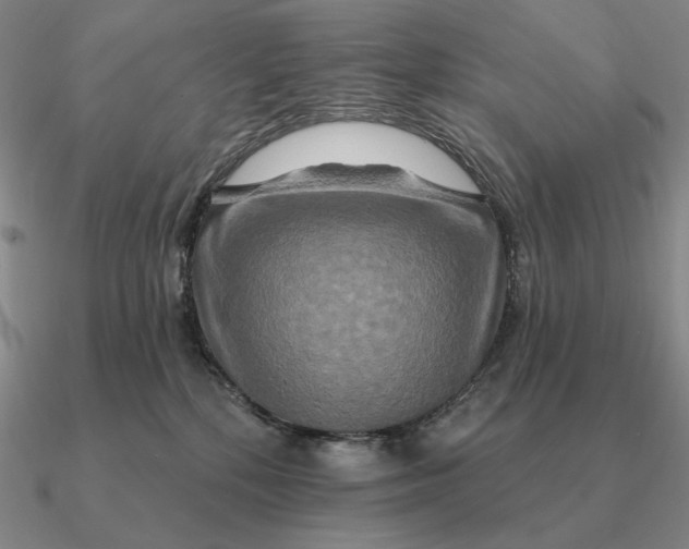 X0000090610232200708071210