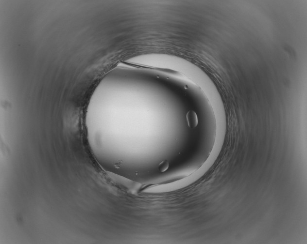 X0000090610233200708071210