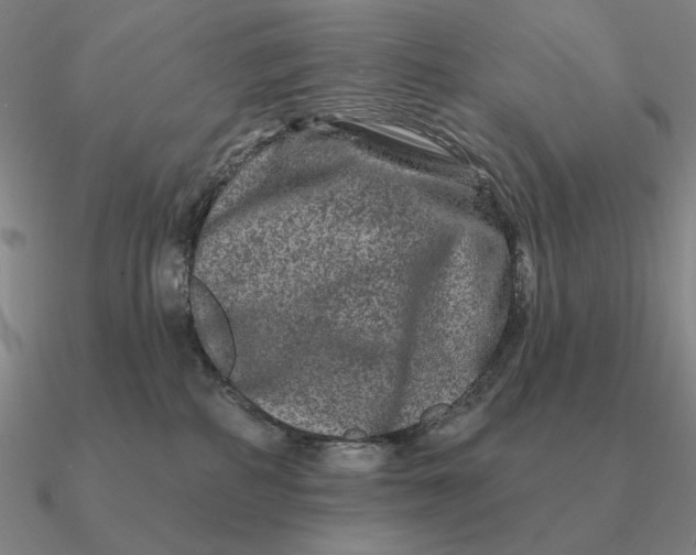 X0000090610234200708071210