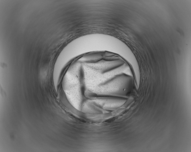 X0000090610235200708071210